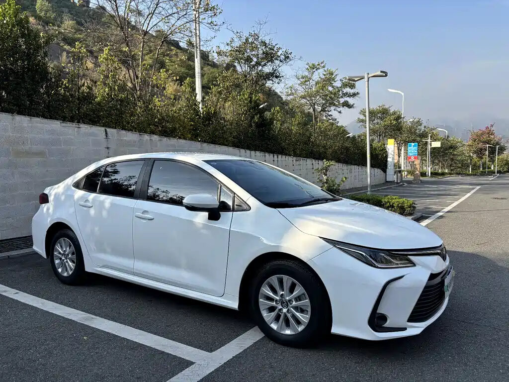 Toyota Corolla Сзади