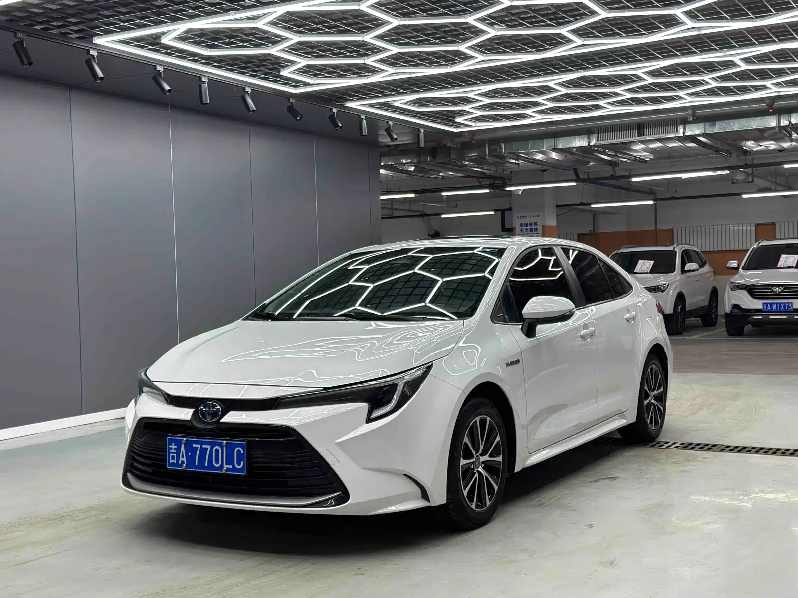 Toyota Levin 